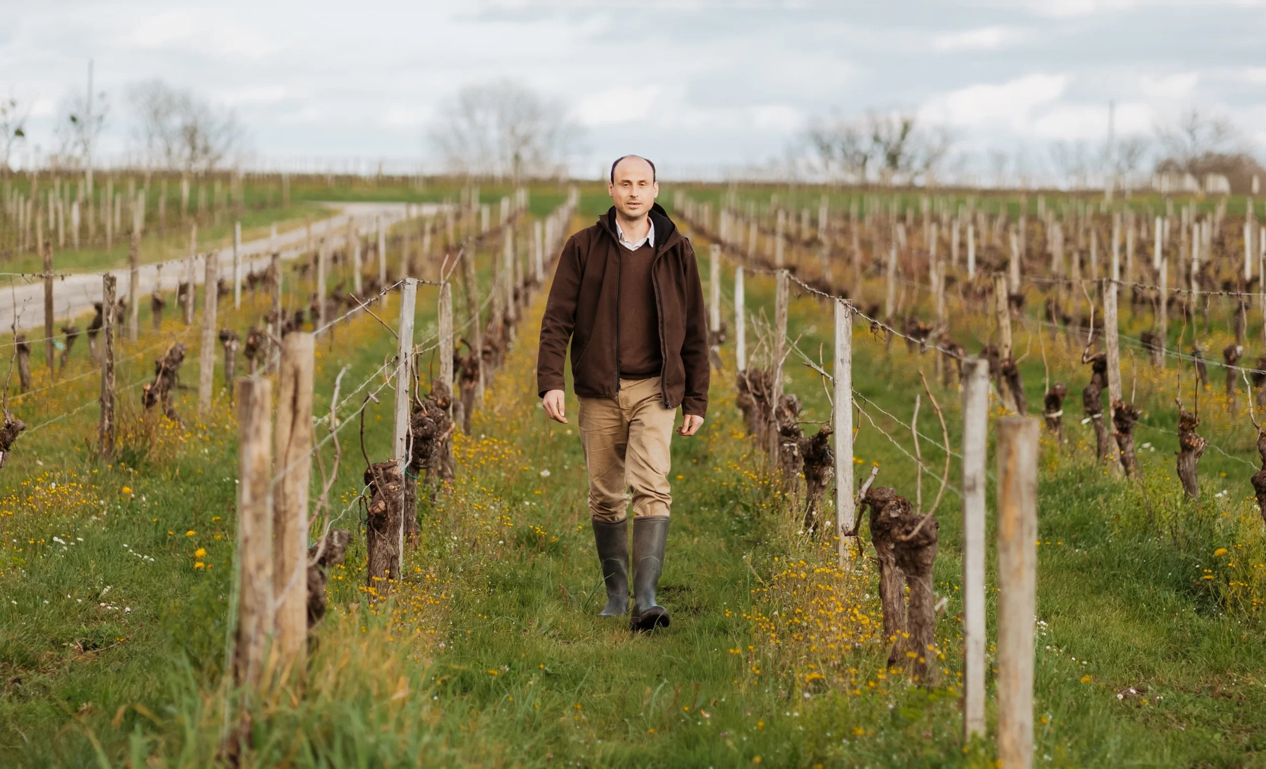 Chateau Terrasson — Vins-Clairs